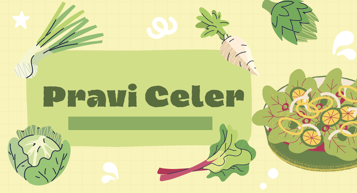 Pravi Celer