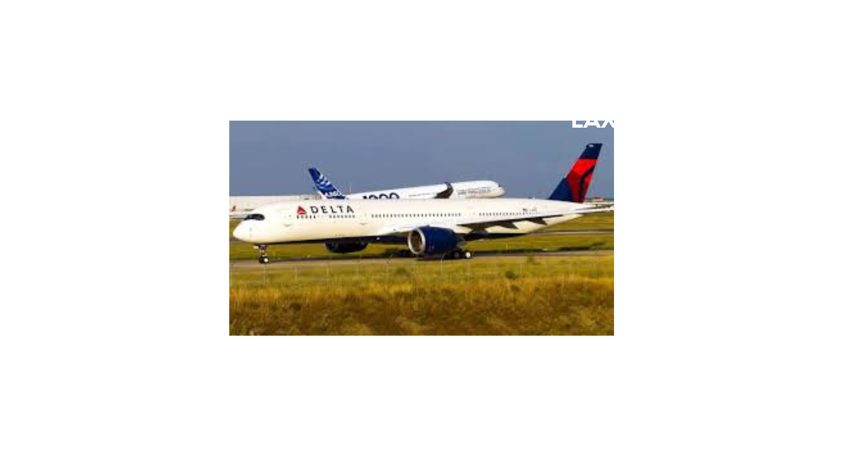 delta flight dl275 diverted lax