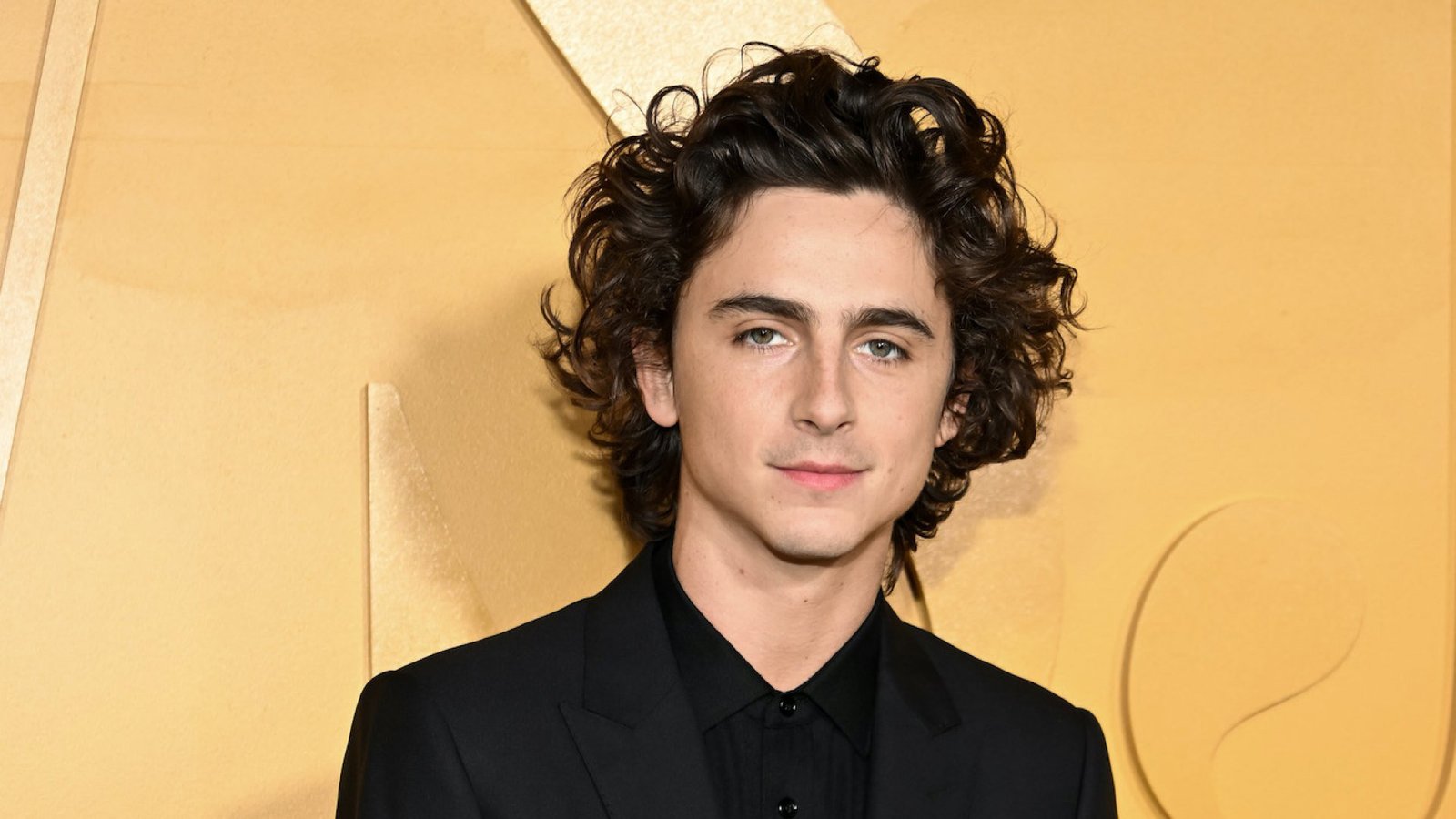 Timothée Chalamet
